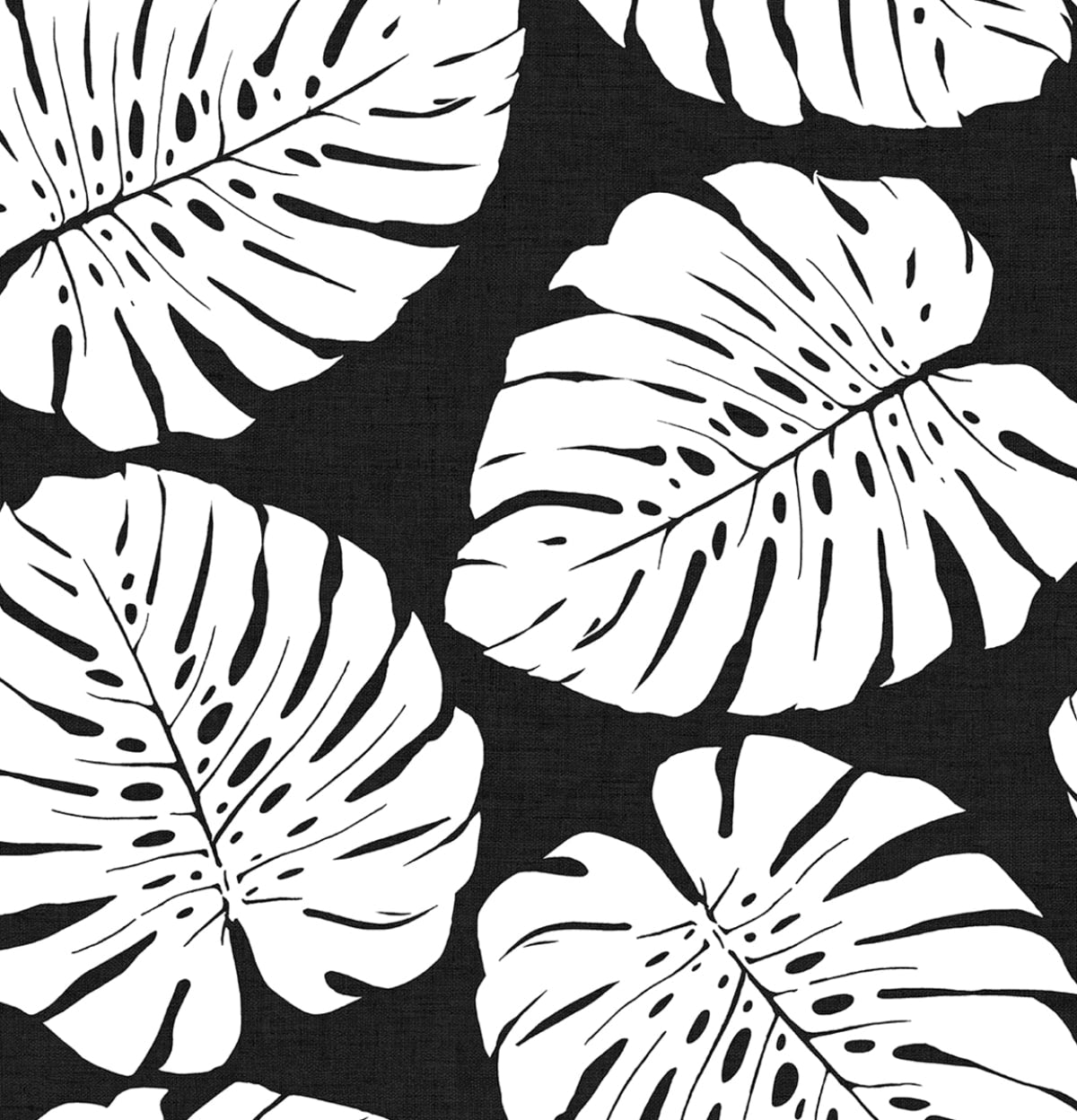 black and white monstera Harry & Grace Shadow Monstera Leaf Peel and Stick Wallpaper