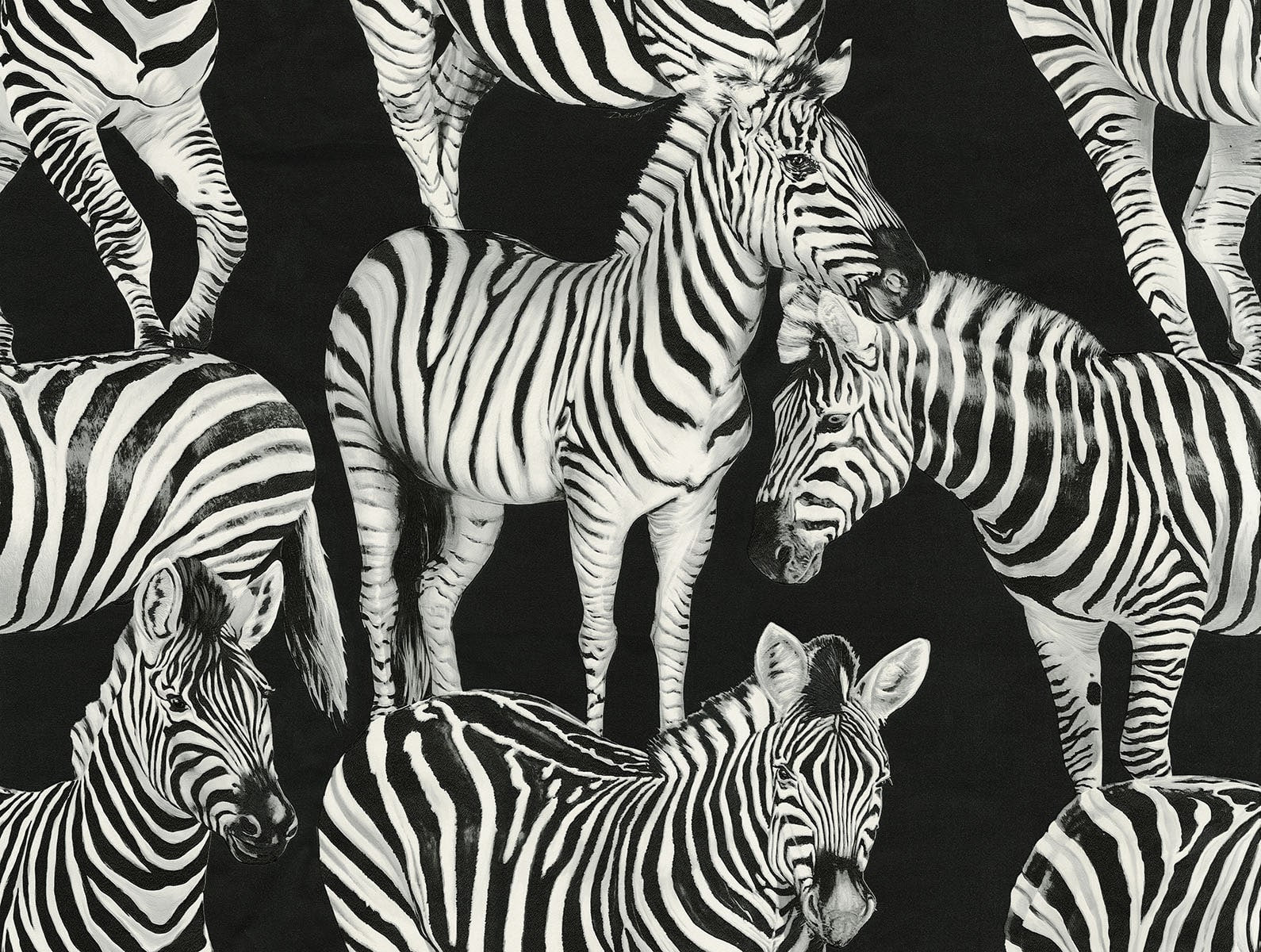Dolce & Gabbana Zebra Romance Animal Unpasted Vinyl  display picture 1