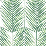 MB30034 palm leaf wallpaper from the Beach House collection by Seabrook Designs