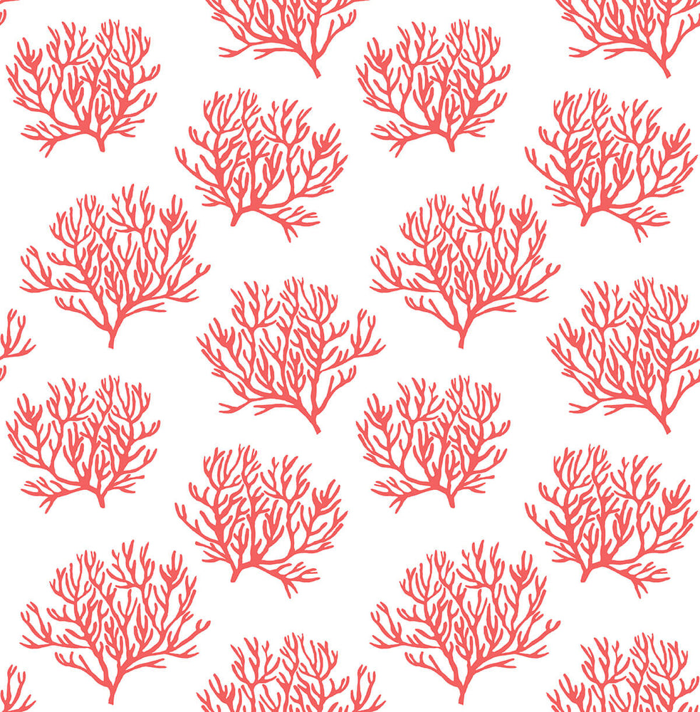 Coastal Coral Reef Peel and Stick Removable Wallpaper