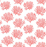 Coastal Coral Reef Peel and Stick Removable Wallpaper
