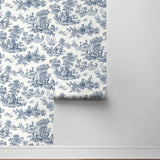 NW43312 toile peel and stick wallpaper roll from NextWall