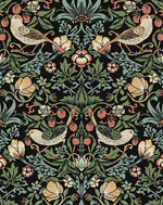 NW43700 Aves Garden peel and stick wallpaper from NextWall