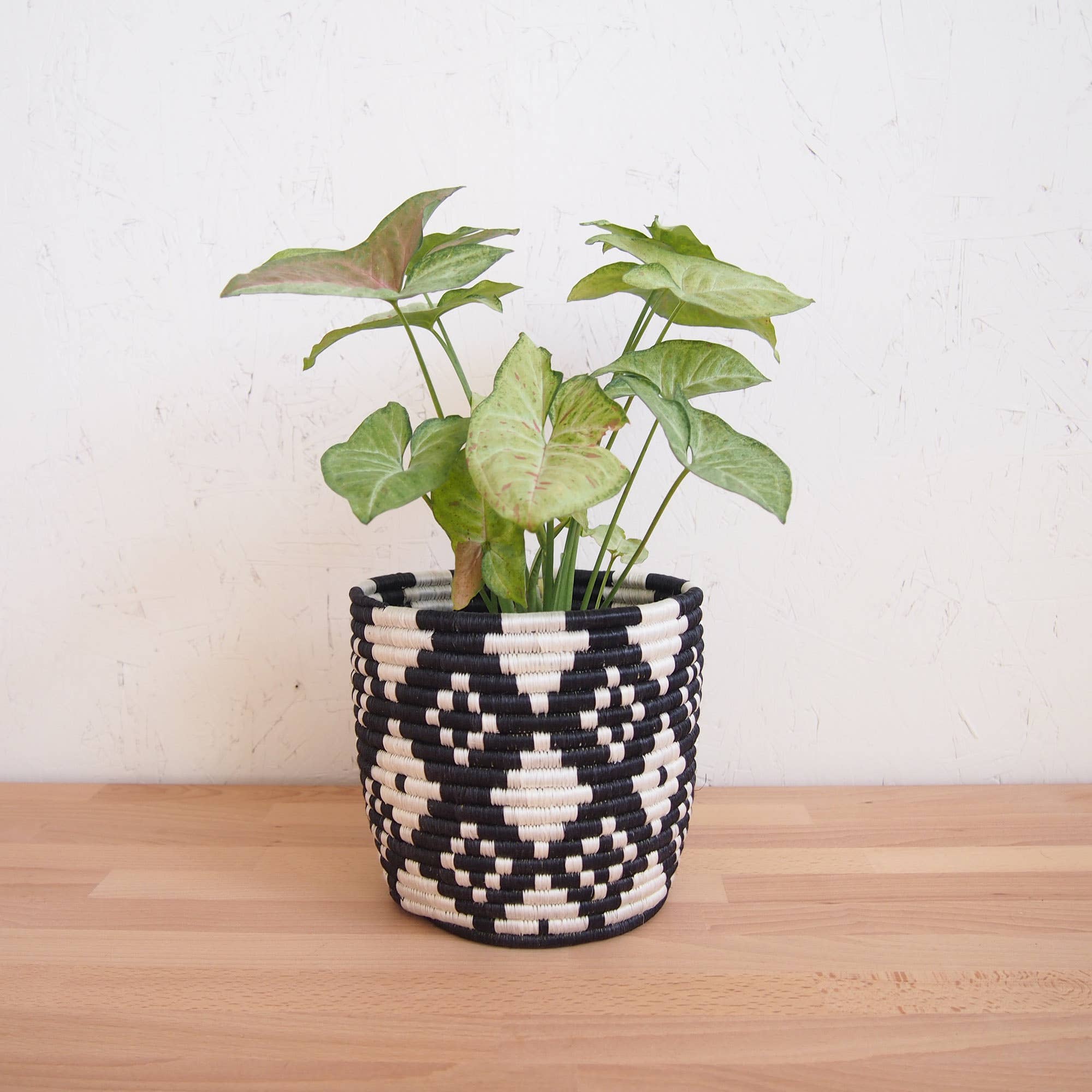 large decorative plant pot Amsha Ndora Sisal Large Decorative Planter – Say Decor LLC