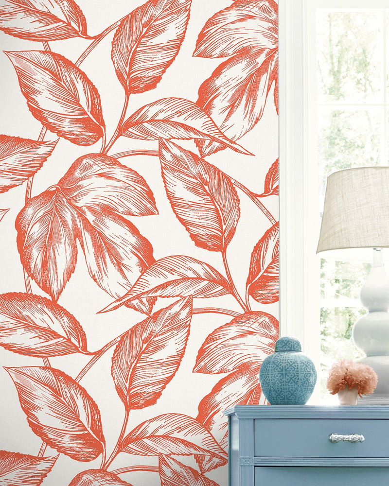 SC20001 leaf botanical wallpaper decor from the Summer House collection by Seabrook Designs