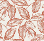 SC20001 leaf botanical wallpaper from the Summer House collection by Seabrook Designs