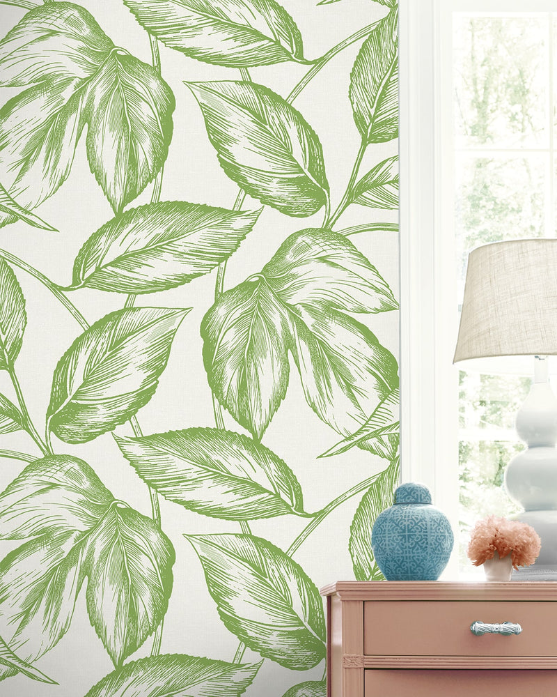 SC20004 leaf botanical wallpaper decor from the Summer House collection by Seabrook Designs