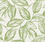 SC20004 leaf botanical wallpaper from the Summer House collection by Seabrook Designs