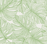 SC20204 palm leaf wallpaper from the Summer House collection by Seabrook Designs