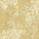 AV50905 Galileo abstract map wallpaper from the Avant Garde collection by Seabrook Designs