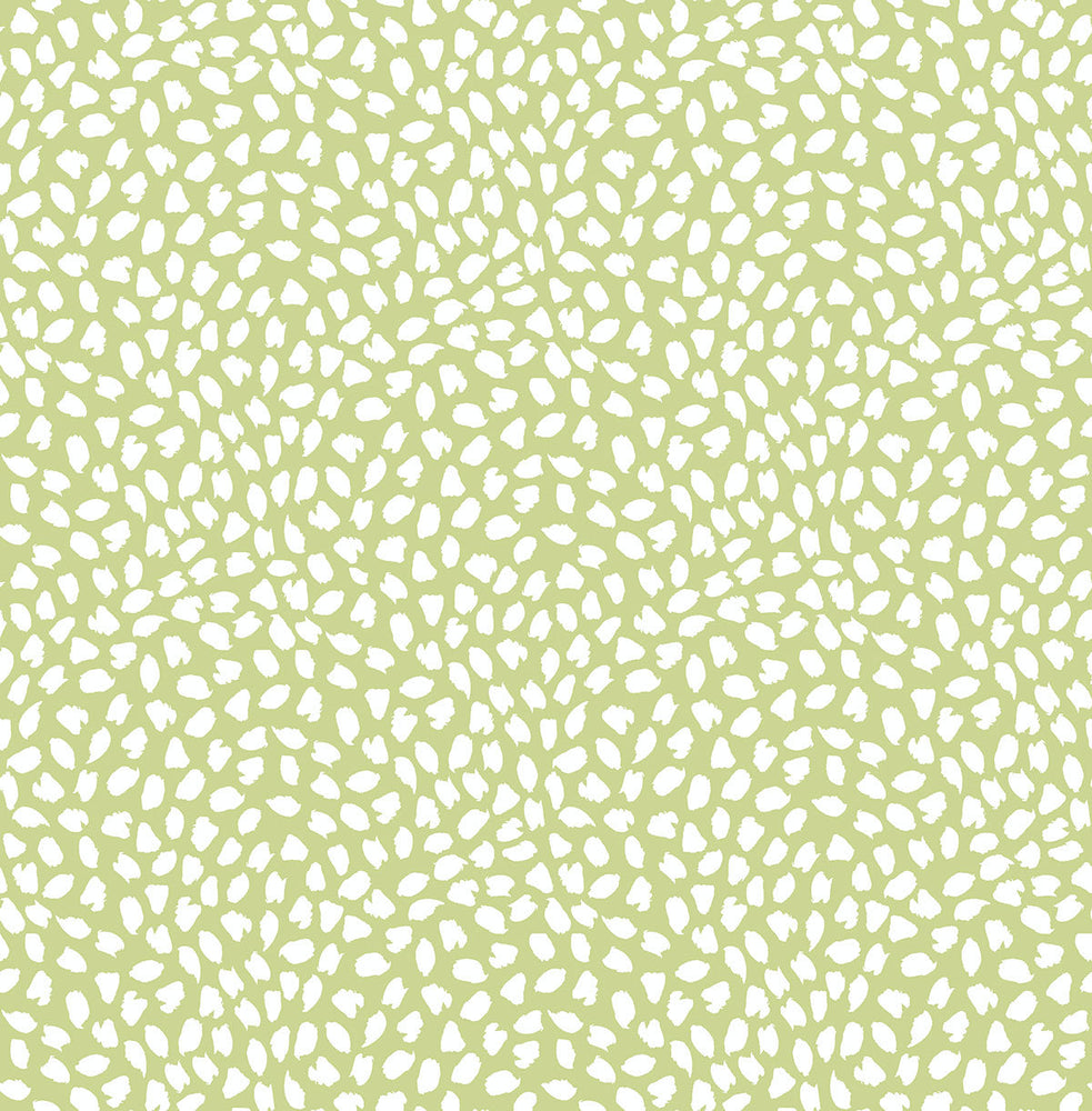 SD80118CH Sophia confetti spot polka dot wallpaper