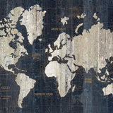 NZ10102M vintage world map peel and stick wall mural from NextWall