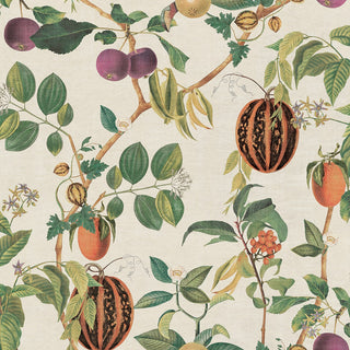 Heritage Tales 100044EH Cream Tropic House Fruit Trail Unpasted Wallpaper at Say Decor