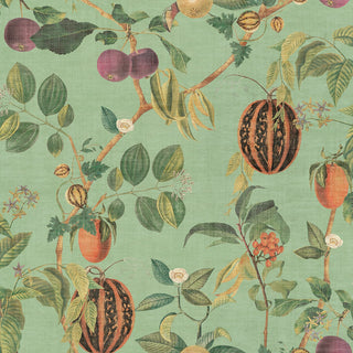 Heritage Tales 100045EH Green Tropic House Fruit Trail Unpasted Wallpaper at Say Decor