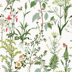 160140WR botanical peel and stick wallpaper from Surface Style
