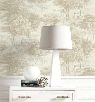160611WR forest peel and stick wallpaper decor from Surface Style