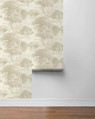160611WR forest peel and stick wallpaper roll from Surface Style