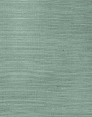 Green Mist Sisal Grasscloth Unpasted Wallpaper at Say Decor