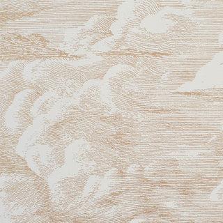5009130 Schumacher Cloud Toile Unpasted Wallpaper Detail at Say Decor