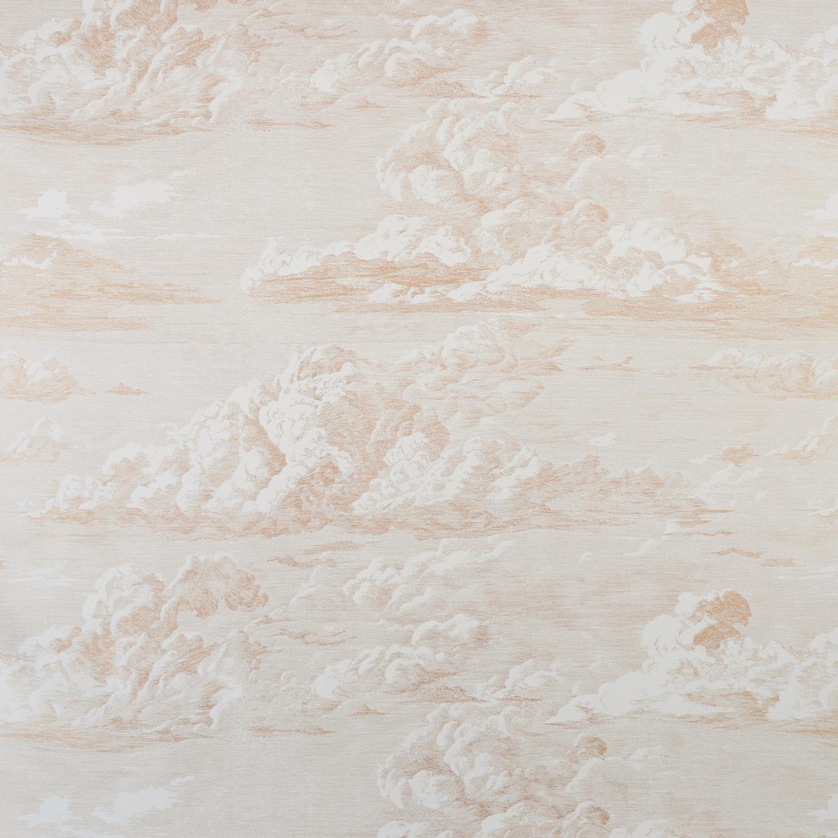 5009130 Schumacher Cloud Toile Unpasted Wallpaper at Say Decor