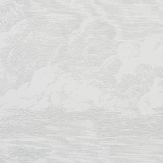 5009131 Schumacher Cloud Toile Unpasted Wallpaper Detail at Say Decor
