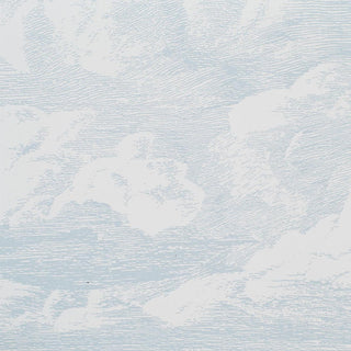 5009132 Schumacher Cloud Toile Unpasted Wallpaper Detail at Say Decor