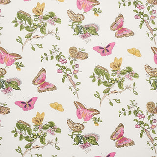 Schumacher Baudin Butterfly Floral Unpasted Wallpaper