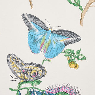 Schumacher Baudin Butterfly Floral Unpasted Wallpaper