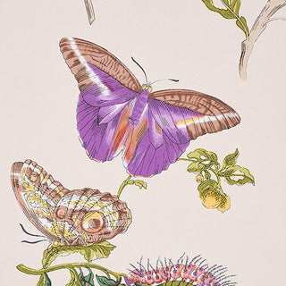 Schumacher Baudin Butterfly Floral Unpasted Wallpaper