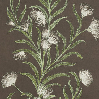 5015361 Schumacher Tasmanian Mimosa Floral Unpasted Wallpaper Detail at Say Decor