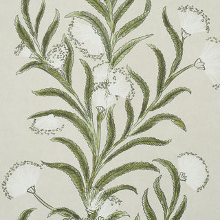 5015362 Schumacher Tasmanian Mimosa Floral Unpasted Wallpaper Detail at Say Decor