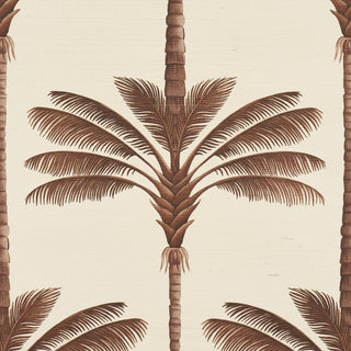 5016960 Schumacher A Palm Is A Palm Sisal Grasscloth Unpasted Wallpaper Detail at Say Decor