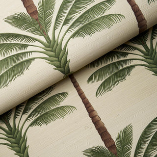 5016961 Schumacher A Palm Is A Palm Sisal Grasscloth Unpasted Wallpaper Roll at Say Decor