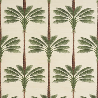 5016961 Schumacher A Palm Is A Palm Sisal Grasscloth Unpasted Wallpaper at Say Decor