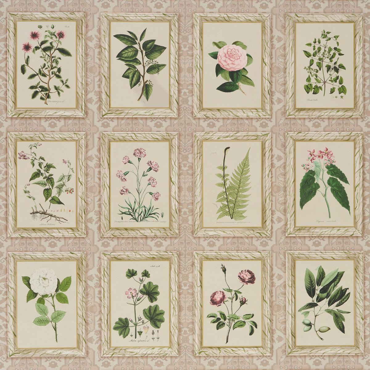 5018310 Schumacher Garden's Trust Floral Unpasted Wallpaper at Say Decor
