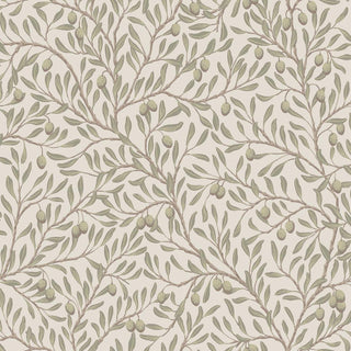 5705 Boråstapeter Olivträd Botanical Unpasted Wallpaper from Say Decor