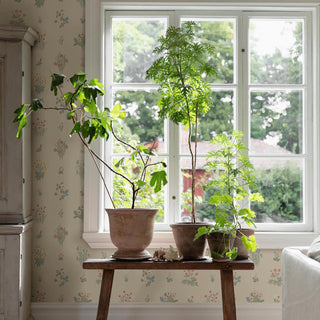 6951 Boråstapeter Ängsflora Unpasted Wallpaper Living Room at Say Decor