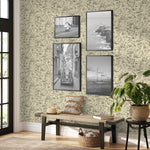 802961WR Charted Course peel and stick wallpaper entryway from Tommy Bahama
