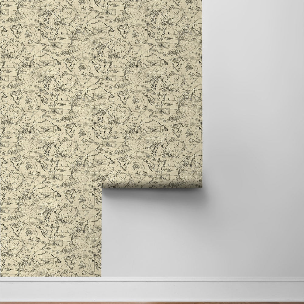 
                  
                    802961WR Charted Course peel and stick wallpaper roll from Tommy Bahama
                  
                