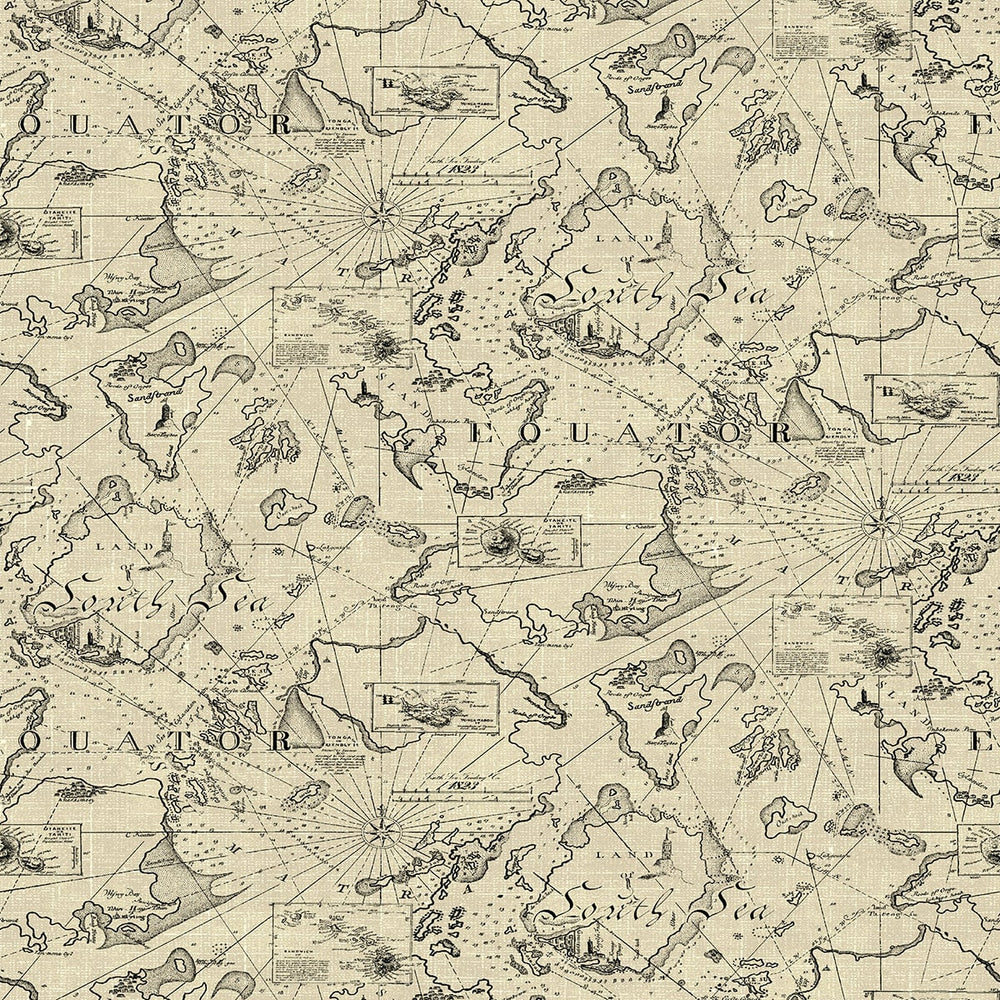 
                  
                    802961WR Charted Course peel and stick wallpaper from Tommy Bahama
                  
                