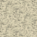 802961WR Charted Course peel and stick wallpaper from Tommy Bahama