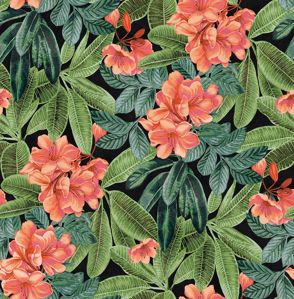 802971WR Darwin Floral peel and stick wallpaper from Tommy Bahama