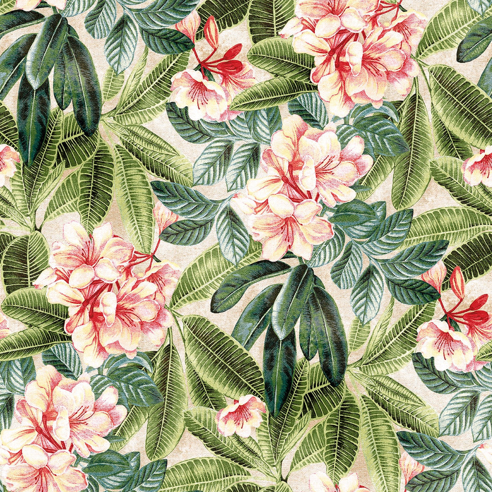 
                  
                    802972WR Darwin Floral peel and stick wallpaper from Tommy Bahama
                  
                