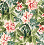 802972WR Darwin Floral peel and stick wallpaper from Tommy Bahama