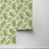 802982WR palm leaf peel and stick wallpaper roll from Tommy Bahama