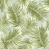 802982WR palm leaf peel and stick wallpaper from Tommy Bahama