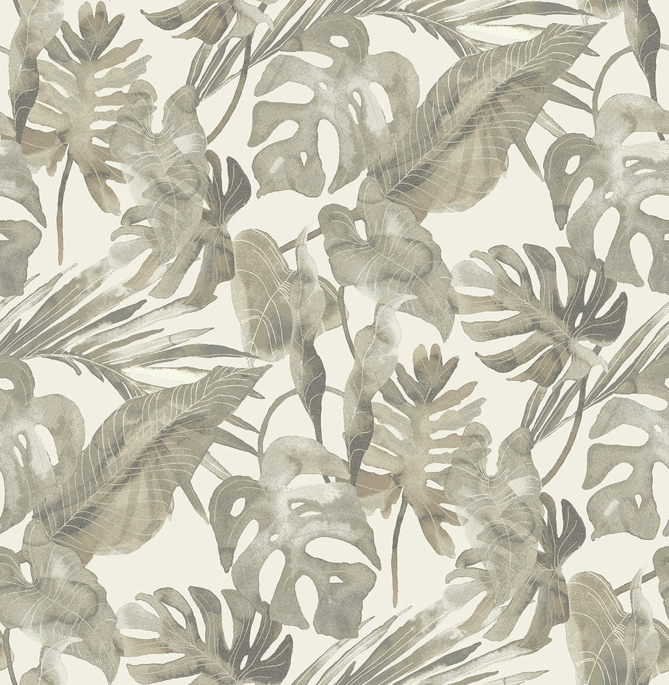 802991WR leaf peel and stick wallpaper from Tommy Bahama