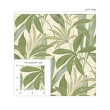 880030WR buena vista leaf peel and stick wallpaper scale from Tommy Bahama Home