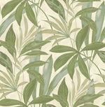 Buena Vista Botanical Peel and Stick Removable Wallpaper