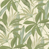 880030WR buena vista leaf peel and stick wallpaper from Tommy Bahama Home